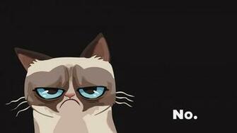 Cat Grumpy Wallpaper Background