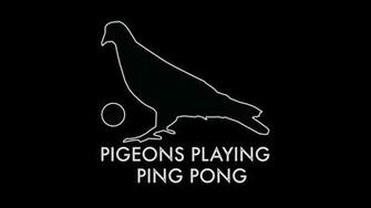Phierce Photography By Keith Griner Tour Video Pigeons Playing