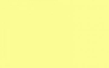 Solid Pastel Yellow Background