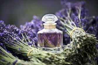 Guerlain Artisan Perfumer Makeup Perfumes Cosmetics Lvmh