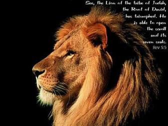 Lion Wallpaper Desicomments