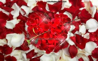 Red Heart Rose Wallpaper The