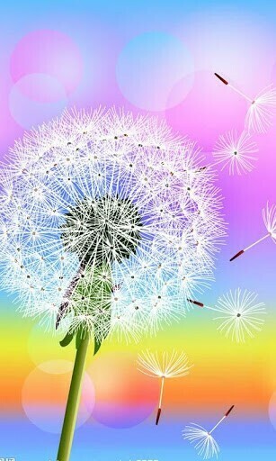 Go Back Gallery For Samsung Galaxy Dandelion Wallpaper