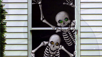 Skeleton Meme Wallpaper