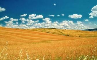 Tuscany Prairie Landscape Theme Wallpaper