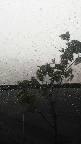 Raining Aesthetic Wallpaper