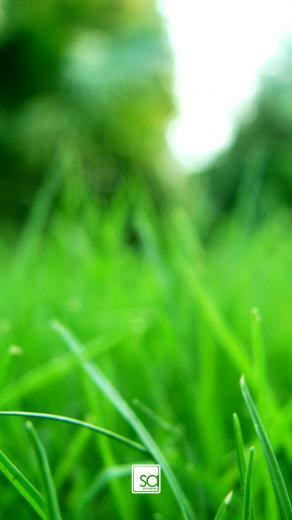 Refresh Ii Galaxy S4 Wallpaper