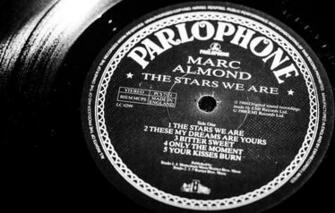 Wallpaper Macro Music Vinyl Record Image For Desktop Section