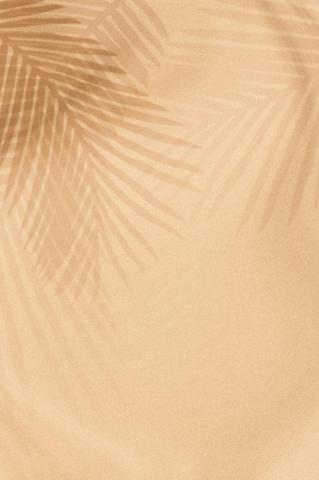 Palm Leaves Shadow On A Beige Background Image By Rawpixel