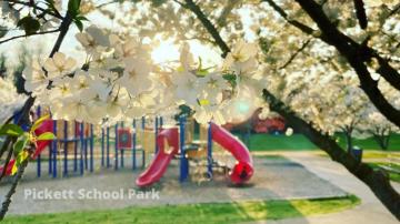 Happy Earth Day News Lexington Nc