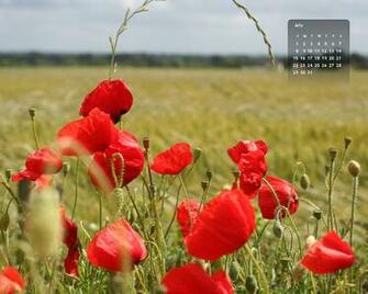 All New Pix1 Kate Net Calender Wallpaper