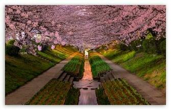 Spring Wallpaper
