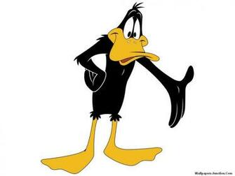 Pics Photos Daffy Duck Wallpaper