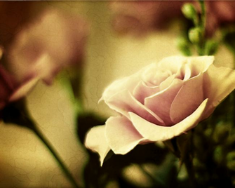 Wallpaper For Samsung Galaxy Note Antique