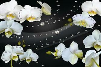 Amazon Great Art Orchid With Diamond Glamour Black Background