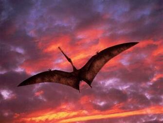 Best Pterodactyl Background