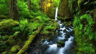 Beautiful Costa Rica Wallpaper