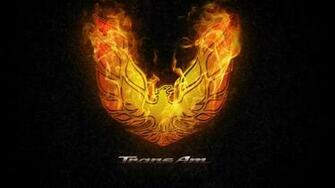 Image Gallery Trans Ama Logo