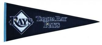 Tampa Bay Rays Baseball Mlb G Wallpaper Background