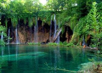 Wallpaper High Quality Nature