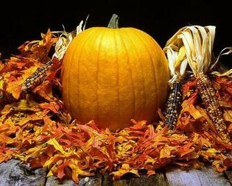 Autumn Harvest
