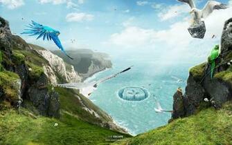 Birds Paradise Wallpaper HD