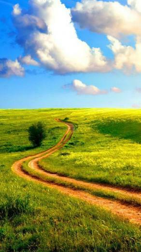 Nature Nexus Wallpaper HD And Background