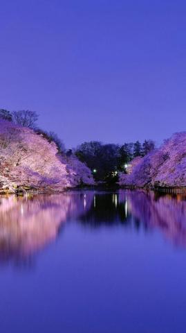 Wallpaper iPhone Beautiful Spring 3d