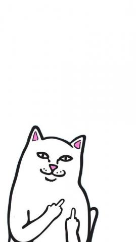 Zumiez Cat Wallpaper