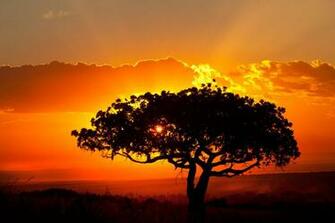 Wallpaper HD For Your Desktop Smartphone Tablet