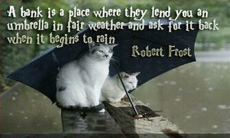 Top Hilarious Life Quotes Of All Time Pics Quotes160