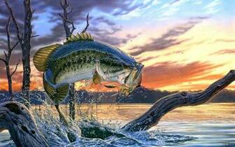 Largemouth Bass Wallpaper