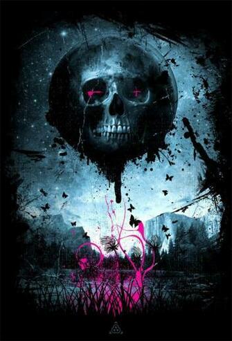 Illustrations By Wilhelm Steiner With Image Skull