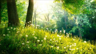 Peaceful Background Wallpaper