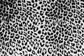 Black Leopard Background