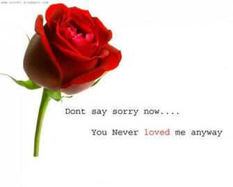 Sorry Wallpaper For Love HD Lovely