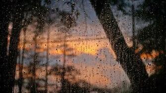 Rain Drops On Window Wallpaper Photography