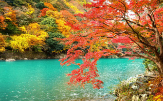 Kyoto Katsuragawa River Y7f674zwjqp7oa30 Wallpaper