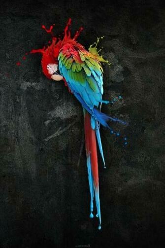 Amazing Parrot Art iPhone HD Wallpaper