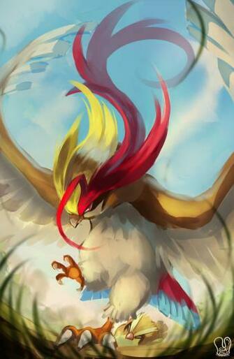 Pokemon Mega Pidgeot By Sa Dui For Your