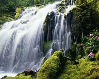 Windows Desktop Pc And Mac Wallpaper