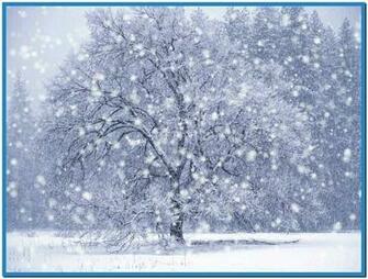 Winter Snow Screensaver