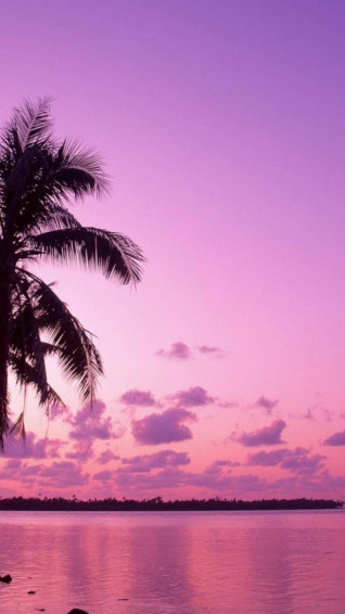 Enjoy The Vibrant Colors Of Sunset On Your iPhone