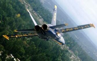 Widescreen Wallpaper Blue Angel In Flight