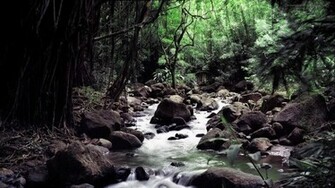Amazing Nature Full HD Wallpaper 1080p