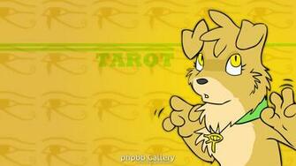 Housepets Image Tarot Wallpaper