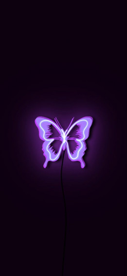 Purple Neon Butterfly Sign Wallpaper Baddie Aesthetic Cute Owls