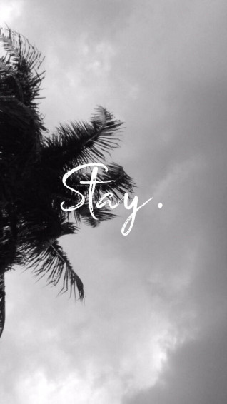 Aesthetic Background Wallpaper