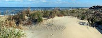 Best Beach Life HD Photo Galeries Wallpaper