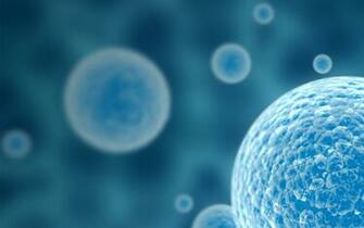 Best Immunology Wallpaper